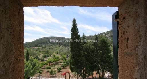 Finca Guillo Gran Pollenca