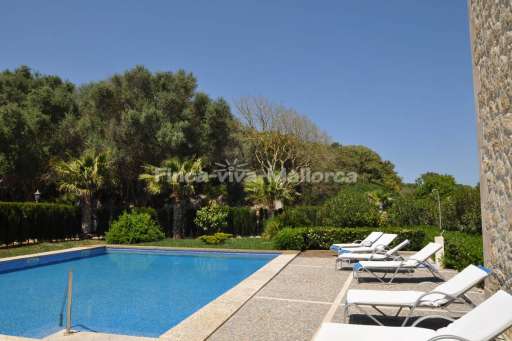 Finca Palmeral Petra