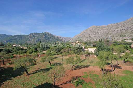 Finca Punxa Pollenca