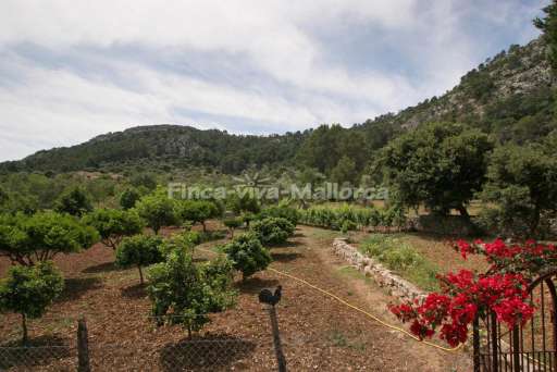 Finca Guillo Gran Pollenca
