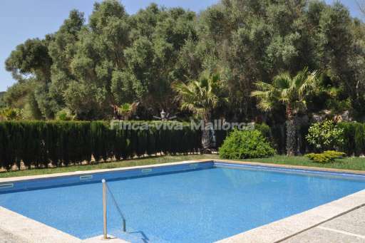 Finca Palmeral Petra