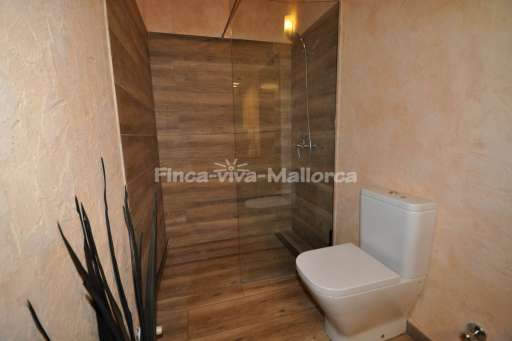 Finca Carrizo Calonge