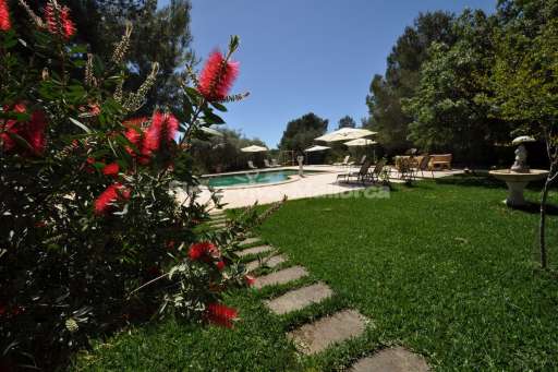 Villa Frutas, Garten, Sonnenschirm