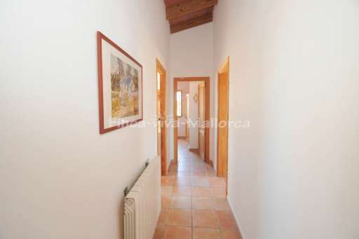 Finca Llanura Ses Salines