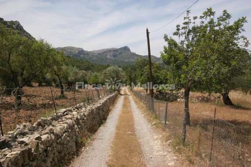 Finca Guillo Gran Pollenca