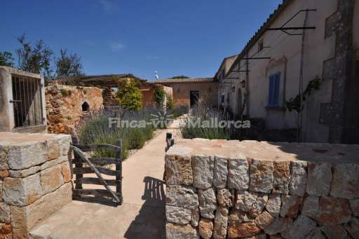 Finca Lorita Santanyi, Garten, Lavendel, Zugang zum Haus