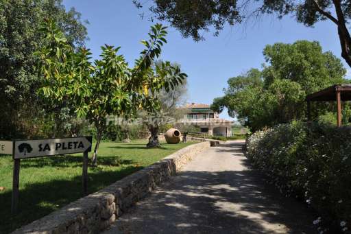 Finca Pleta Petra