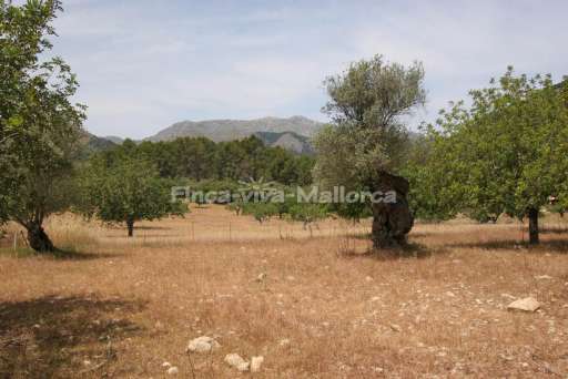 Finca Guillo Gran Pollenca