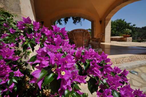 Finca Malida Son Macia