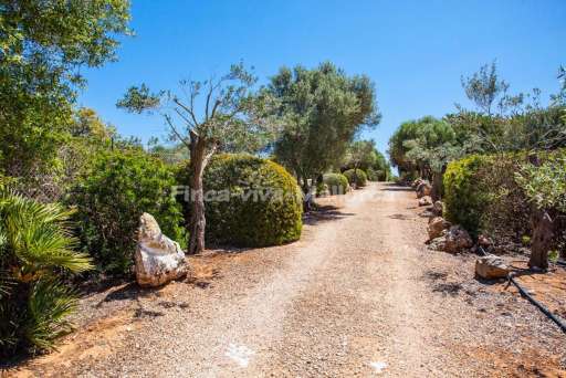 Finca Fuente Ses Salines