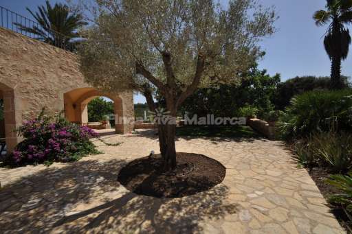 Finca Malida Son Macia