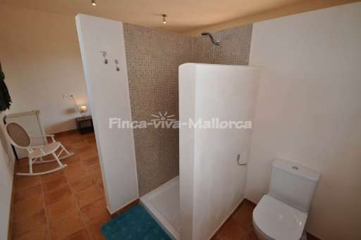 Finca Tiana Ses Salines