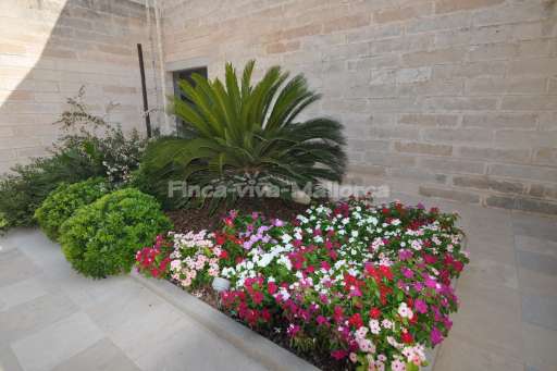 Villa Jose Sa Mola, Garten, Blumen