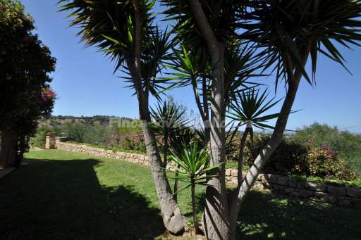 Finca Altura Son Macia