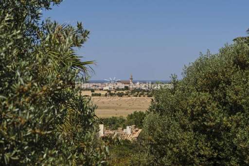 Finca Fuente Ses Salines