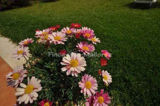 Finca Caseta del Mar Port Verd