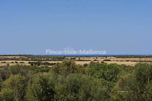 Finca Fuente Ses Salines