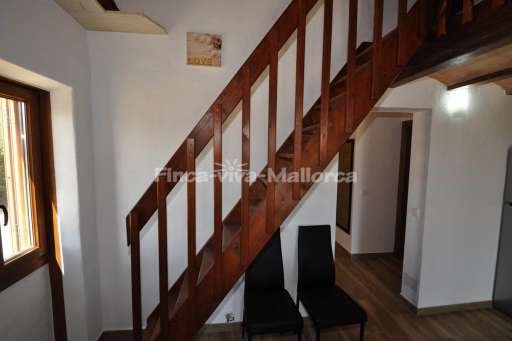 Finca Carrizo Calonge