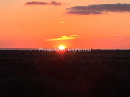 Finca Fuente Ses Salines