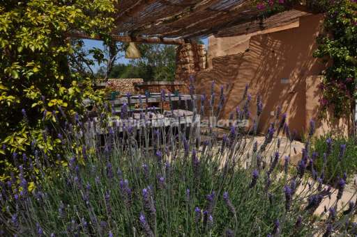 Finca Lorita Santanyi, überdachte Terrasse, Lavendel, Essbereich