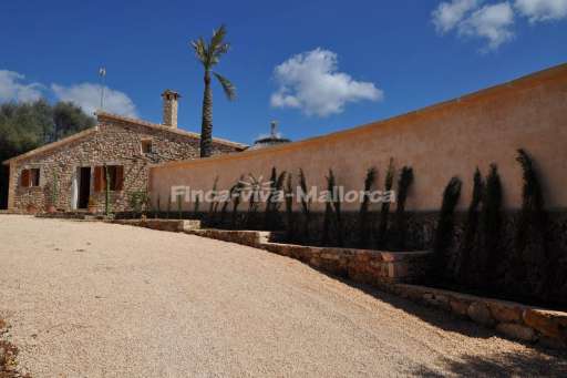 Finca Carrizo Calonge