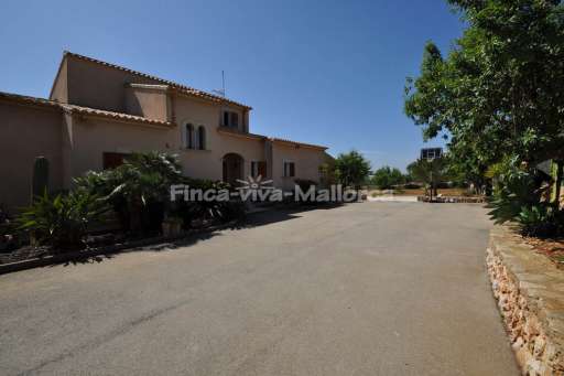 Finca Antonia, Haus, Zufahrt