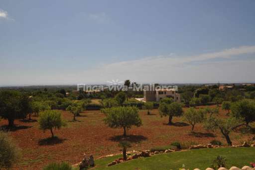 Finca Antonia, Aussicht