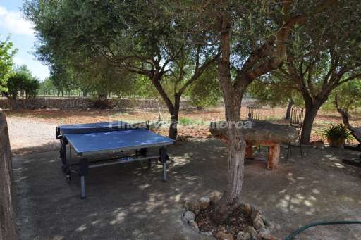 Finca Antonia, Garten, schattig, Tischtennis, Tischtennisplatte
