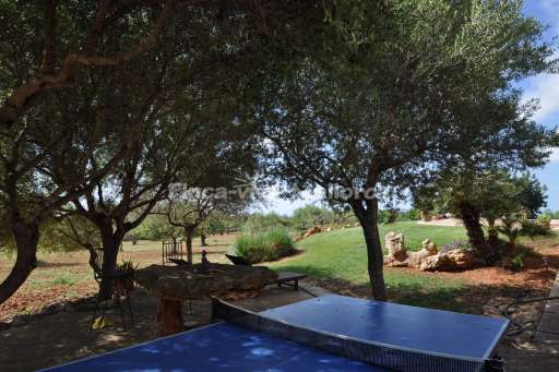 Finca Antonia, Garten, schattig, Tischtennis, Tischtennisplatte
