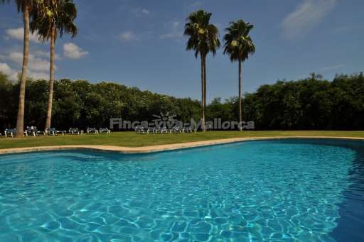 Finca Grande