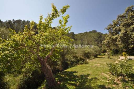 Villa Clarosa Andratx