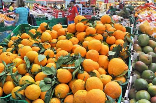 ALCAMPO-Mai-2016-(13).jpg