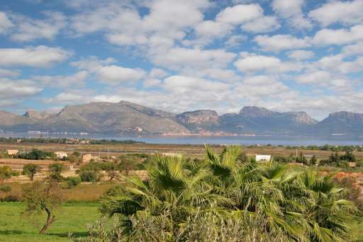 Alzina - Xtra 1 (1200x800).jpg