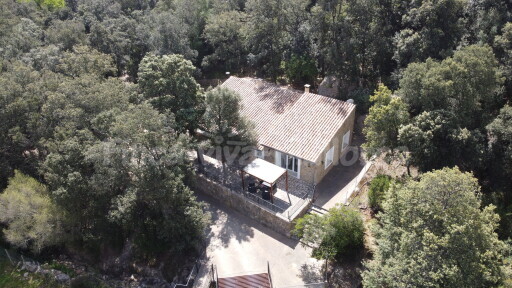 Finca Binibona petit