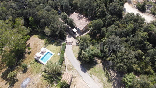 Finca Binibona petit