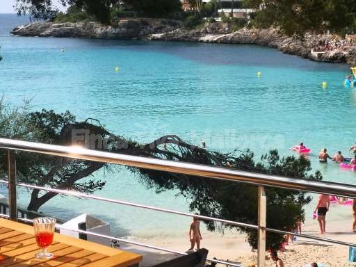 Bungalow Playa d´Or 26