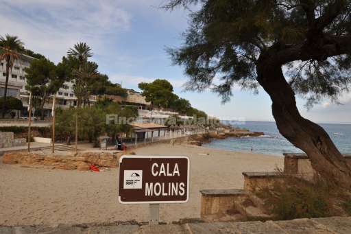 Die Faszination des Nordens