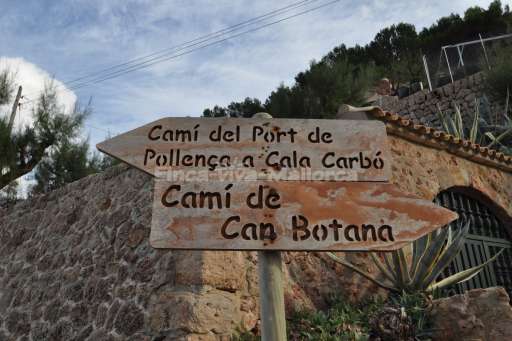 Cala Sant Vicens Pollenca Mallorca  (18).JPG