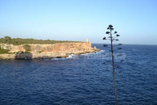 Cala Figuera Meer