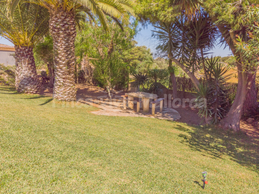 Casa Margarita Cas Concos