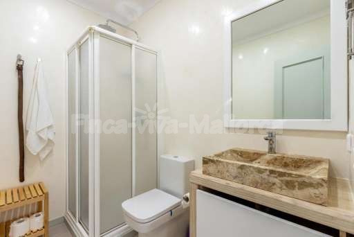 Chalet Pintor Consell