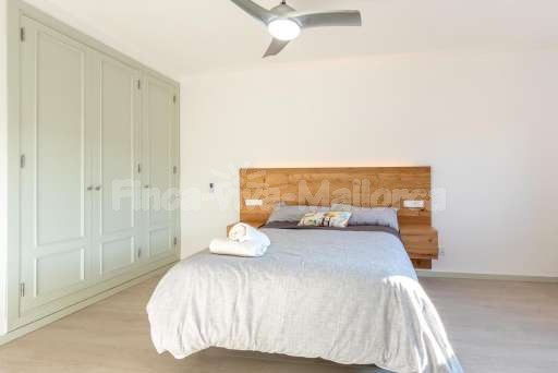 Chalet Pintor Consell