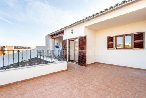 Chalet Pintor Consell