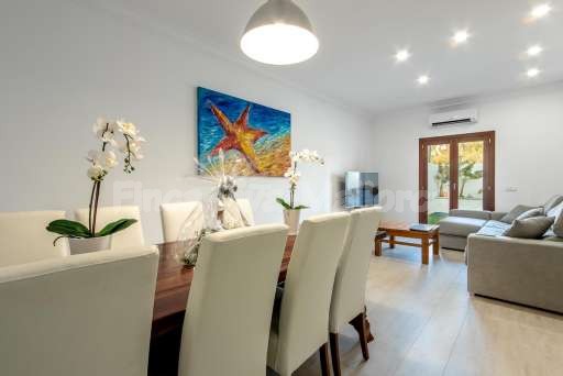 Chalet Pintor Consell