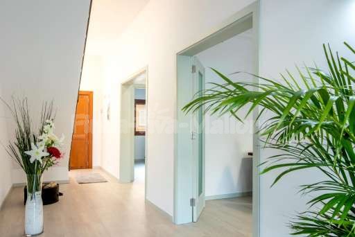 Chalet Pintor Consell