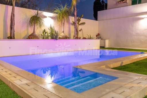 Chalet Pintor Consell