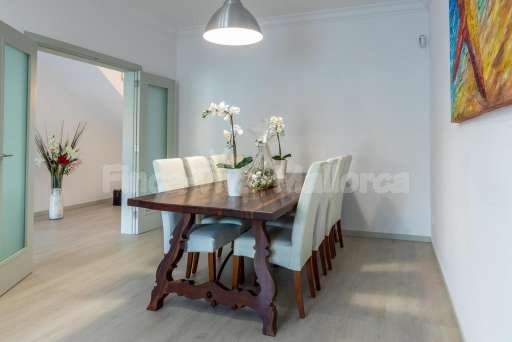 Chalet Pintor Consell