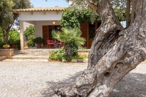 Casita Oliver Port de Pollenca, Haus, Eingang, überdachte Terrasse