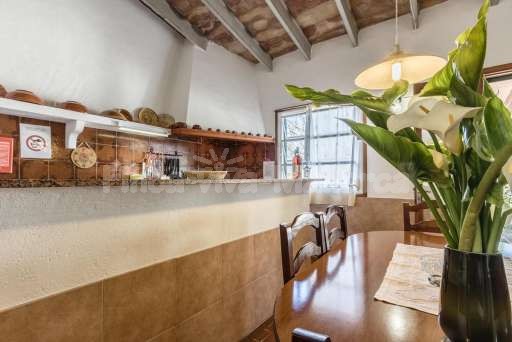 Finca Catala Pollenca