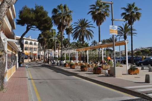 Colonia de Sant Jordi Palmen
